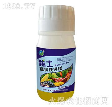 ϡ���i�\�F�}�V-���S�f¡