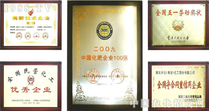 �������ƣ����F�������ɷ����޹�˾