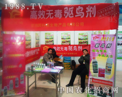 ��Ч��B�� �������Ƅ�