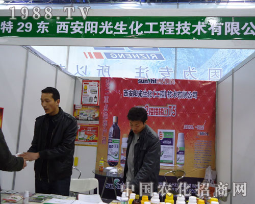 ���ꖹ������ںӱ�ʡֲ��������������