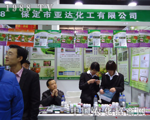 ���_(d��)�����ںӱ�ʡֲ��������������