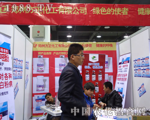 ���ݷ��������ںӱ�ʡֲ��������������