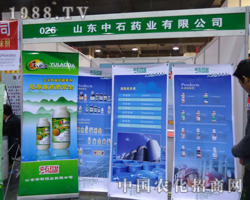 ɽ�|��ʯˎ�I(y��)�ںӱ�ʡֲ�����ϵ�����