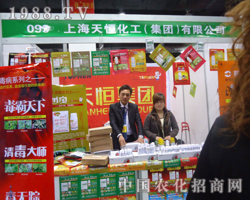 �Ϻ���㻯����������