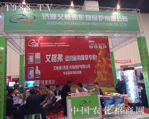 ���������N�����݌�����