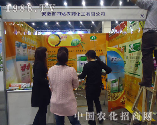 ���_(d��)�������ɿ�