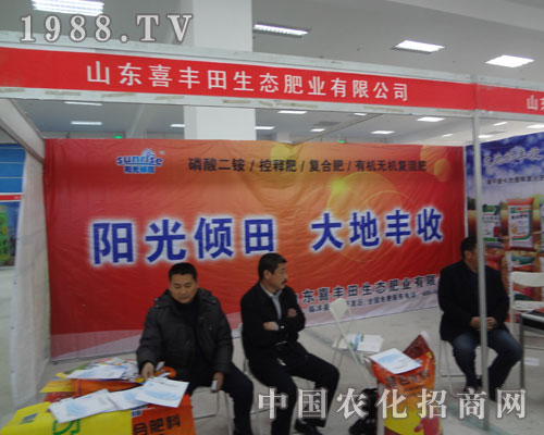 喜豐田——陽光傾田，大地豐收