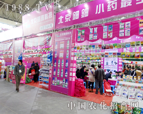 北京鈿鈿在2015哈爾濱種子雙交會引人注目