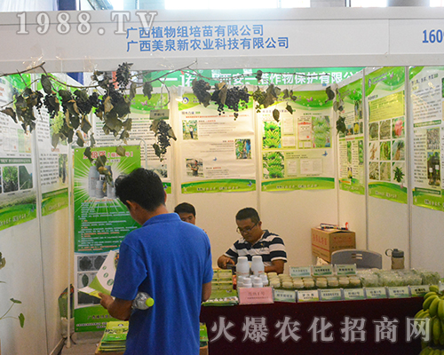 �V����Ȫ�r�I(y��)��2016�ό��r�Y���`������