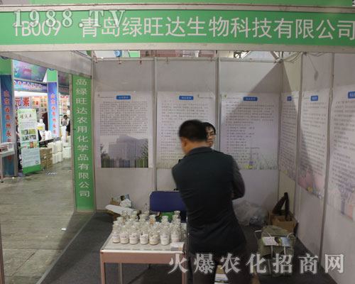 ���u�G���_������2016����ֲ�����ו��Ϸe�O����