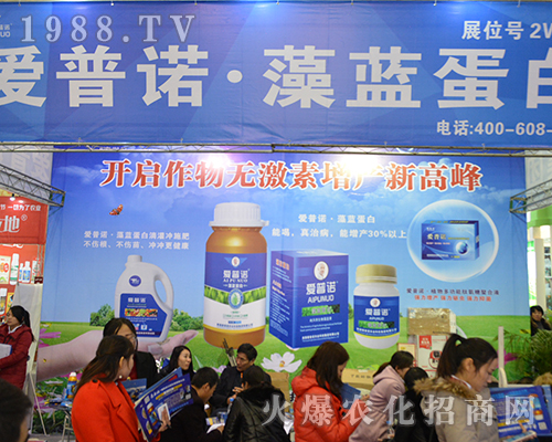 �����Z�r(n��ng)�I(y��)��(qi��ng)��(sh��)������32��ȫ��(gu��)ֲ����(hu��)