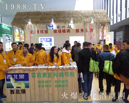 2016ȫ��ֲ���p����������������ȫ��