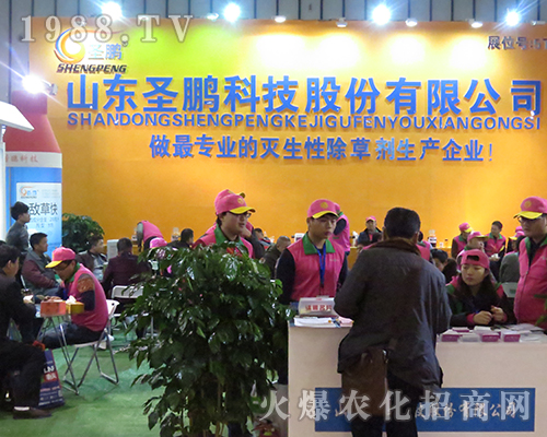 ɽ�|ʥ�i�Ƽ��ɷ����޹�˾��2016���Ͼ�ֲ�����õ�����J(r��n)��