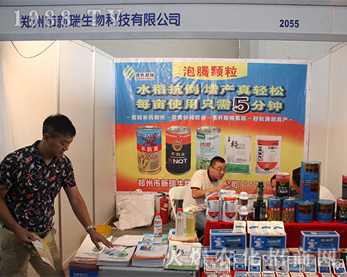 ��������Ƽ�