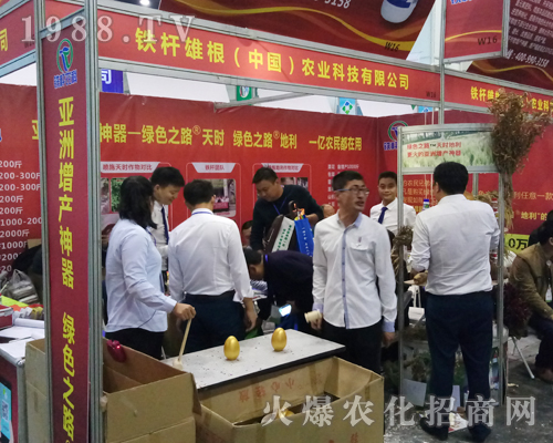 �F�U�۸���2017�����r(n��ng)ˎ����������