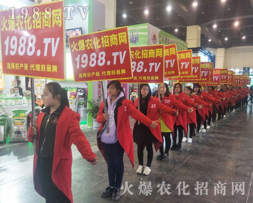 2017����Ϸ����p������1988.TV�����»���