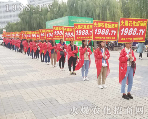     �R�������������2018��24��ɽ�|��(j��)��ֲ���p����(hu��)��