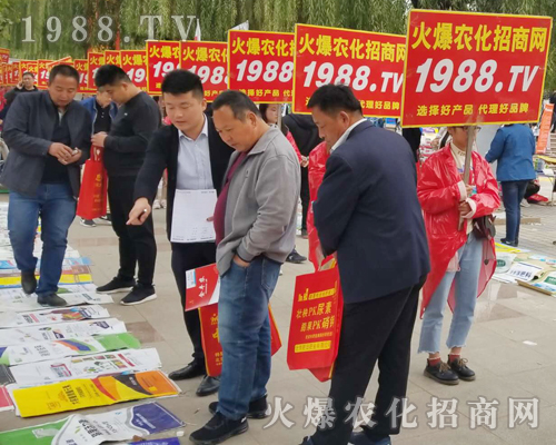     2018ɽ�|��(j��)��ֲ�����ו�(hu��)�����r(n��ng)���W(w��ng)����ֱǰ��