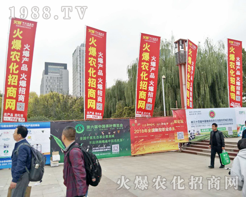 2018ɽ�|ֲ���p����(hu��)�������r(n��ng)���W(w��ng)ȫ���������̹���