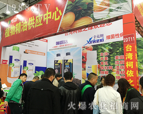 ƽ�ɽ����֮�G�ڵ�24��ɽ�|ֲ���p����(hu��)��Ů���