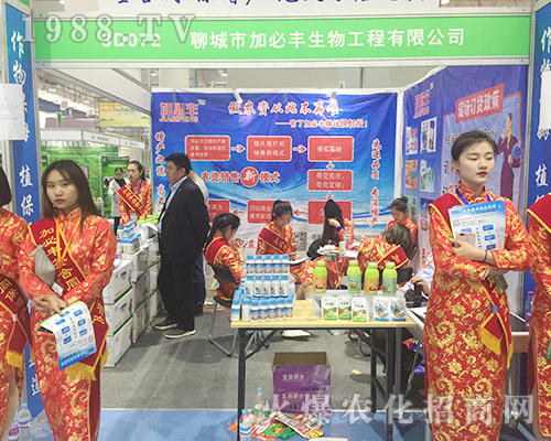 �ӱ��S�����24��ɽ�|ֲ���p�����ل�(chu��ng)�x��