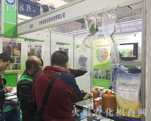 ��(j��)�Ϻ�̩�r(n��ng)����2018ɽ�|ֲ�����W���l(f��)��