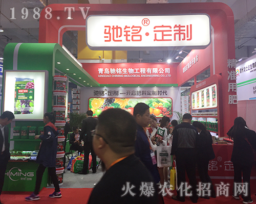 2018ɽ�|����ֲ�����ו������u�Y������Ź�â