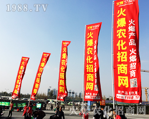 ����ʮ�Č�ȫ��ֲ����(hu��)�����r(n��ng)�����̾W(w��ng)�L(f��ng)��ȫ����