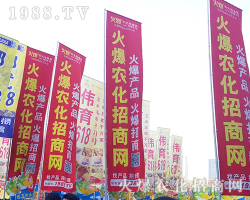 2018���������r(n��ng)ˎ��(hu��)��1988.TV����(zh��ng)***��