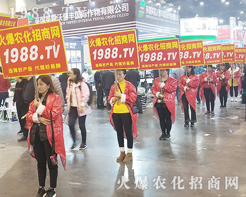     2018�����r(n��ng)ˎ�������r(n��ng)���W(w��ng)׌�fǧ�S�̳ɹ��_��(chu��ng)δ��