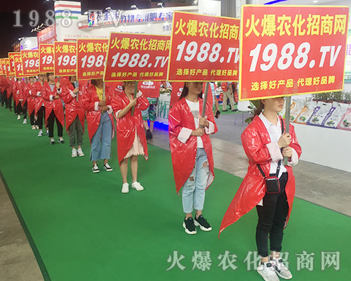 ���r���W�F�Yһ�y�ֲ�������2018�����r�Y���[����