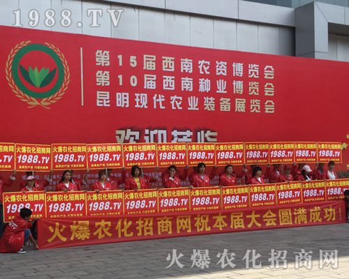 �o̎�����r(n��ng)���W(w��ng)���M�۱M�ǻ𱬼t��