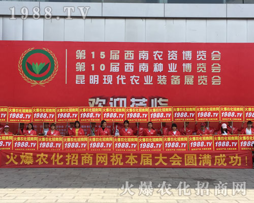 �o̎�����r(n��ng)���W(w��ng)���M�۱M�ǻ𱬼t��