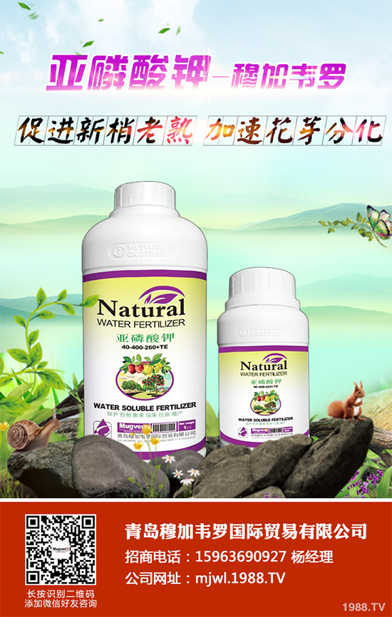 ���{(l��n)ܛ��������Щ�Y����F(xi��n)������ΰl(f��)���ģ����{(l��n)ܛ�����A(y��)����ʩ