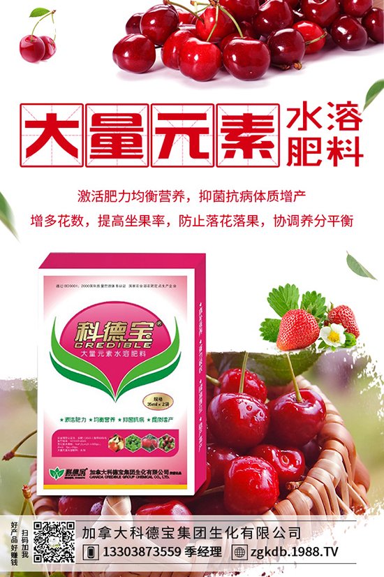 ������(ji��)�N��ᘹ����������������(ji��)��ᘹ�����������