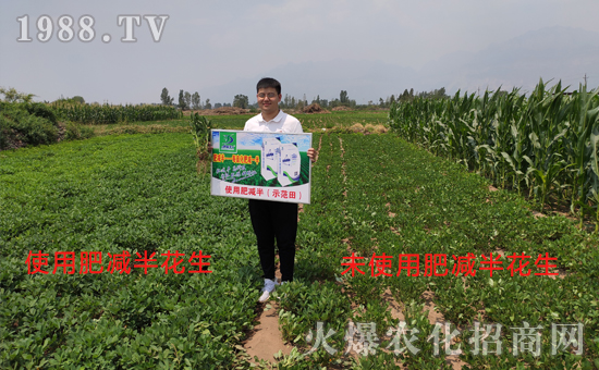     �îaƷ�����fԒ�����ʜp�롱���^���r�����f����