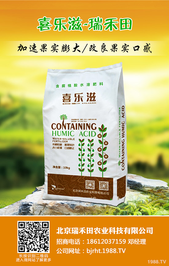 大蒜什么時候種植,大蒜種植方法是什么?