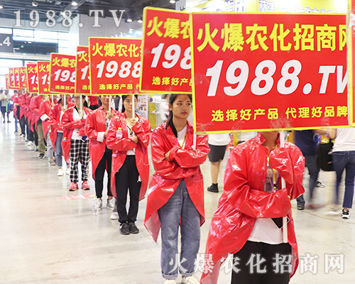     2019�Ϸ��r(n��ng)�Y���[���ϻ��r(n��ng)���W(w��ng)��Ӣ�ɳ�������(zh��n)����