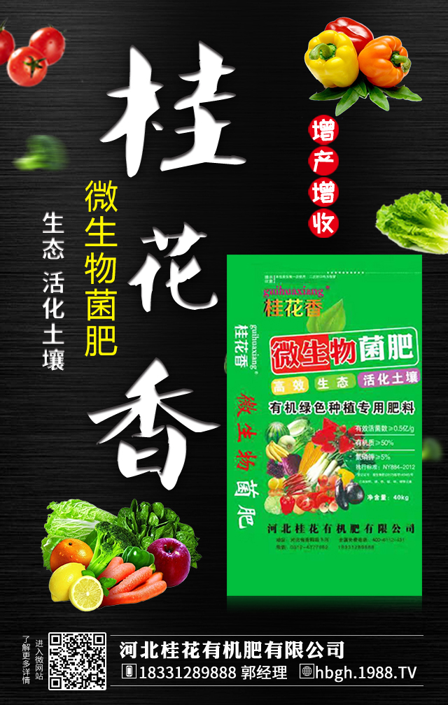 �ӱ����ЙC�����޹�˾1