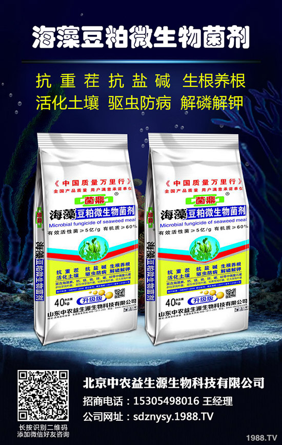 今日國內(nèi)最新氯化鉀市場價(jià)格快訊2019-10-5