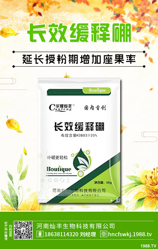 ���X�ݺ��~�X����ʲô��ͬ�����X�ݺ��~�X�ݵą^(q��)�e��Щ��