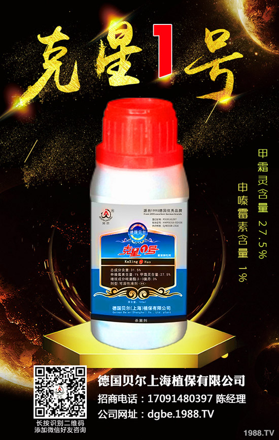 香椿種子怎么種，香椿種子的種植方法！