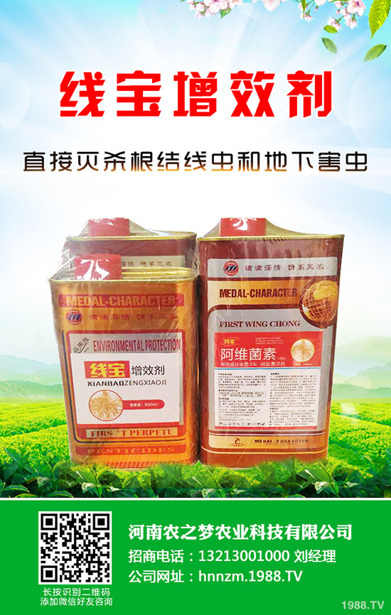 �۲˰l(f��)ѿ����ν�Q���۲˵Ĵ�ѿС������