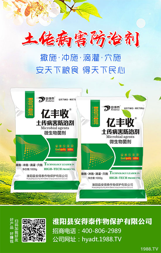 ���}���Ĺ�Ч�c���������}���I�B(y��ng)�r(ji��)ֵ��