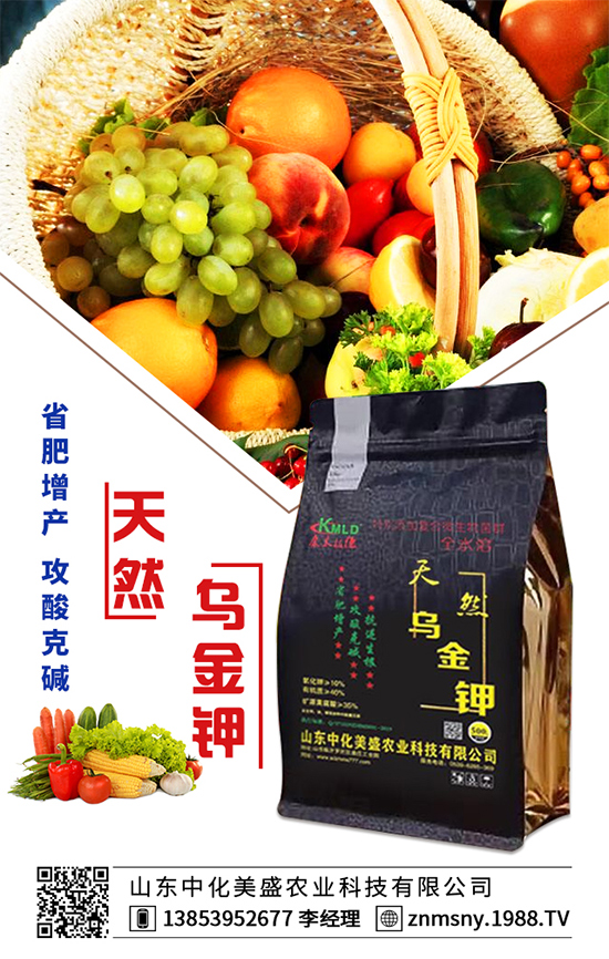 �۲˞�ʲô�����F(xi��n)�������۲˿��ĵķ��δ�ʩ��