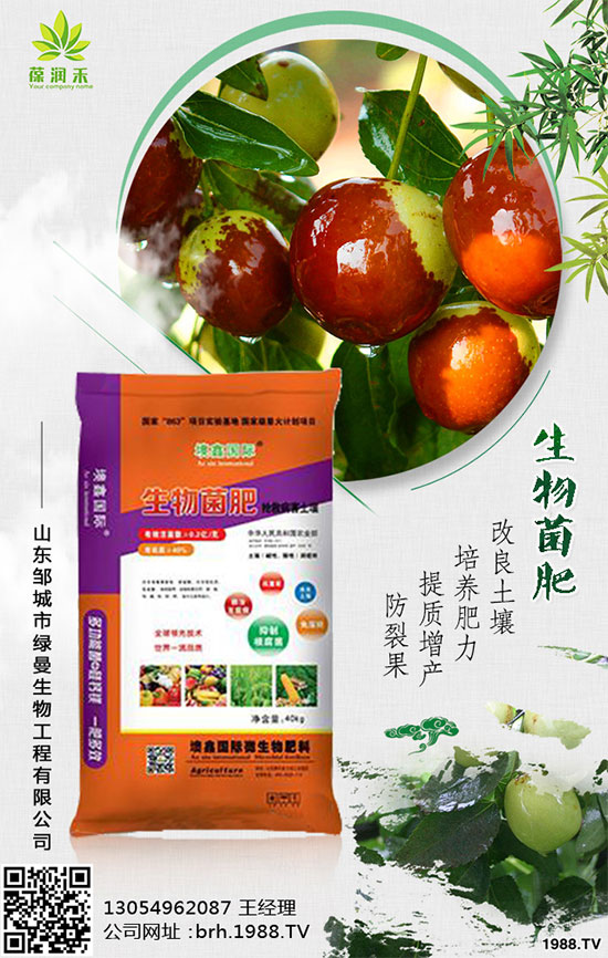 �������t����ô�������������t���߮a(ch��n)������