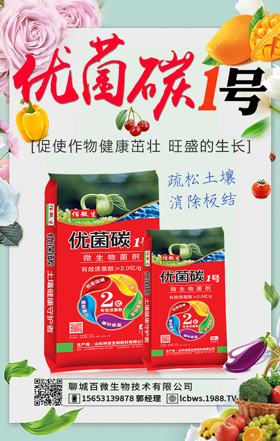 �ĳǰ�΢���＼�g(sh��)���޹�˾1