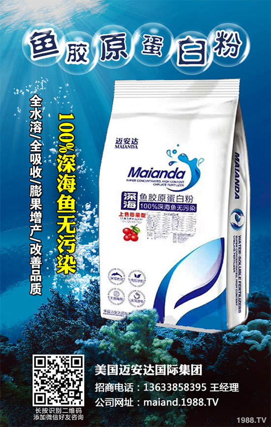 �ײ˲�����Σ���޴󣬵���ԓ��ô�k���ײ˲�����������ΈD�V