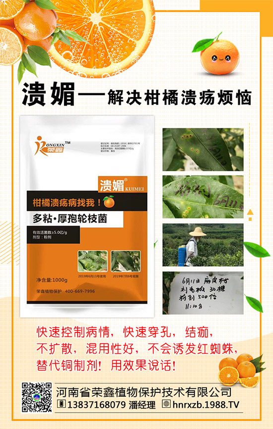 菠菜的營養(yǎng)價值,吃菠菜的好處有哪些?