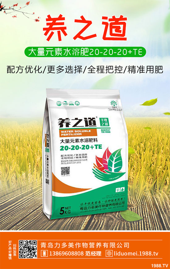 白菜白銹病危害這么大,到底該如何防治?白菜白銹病防治措施